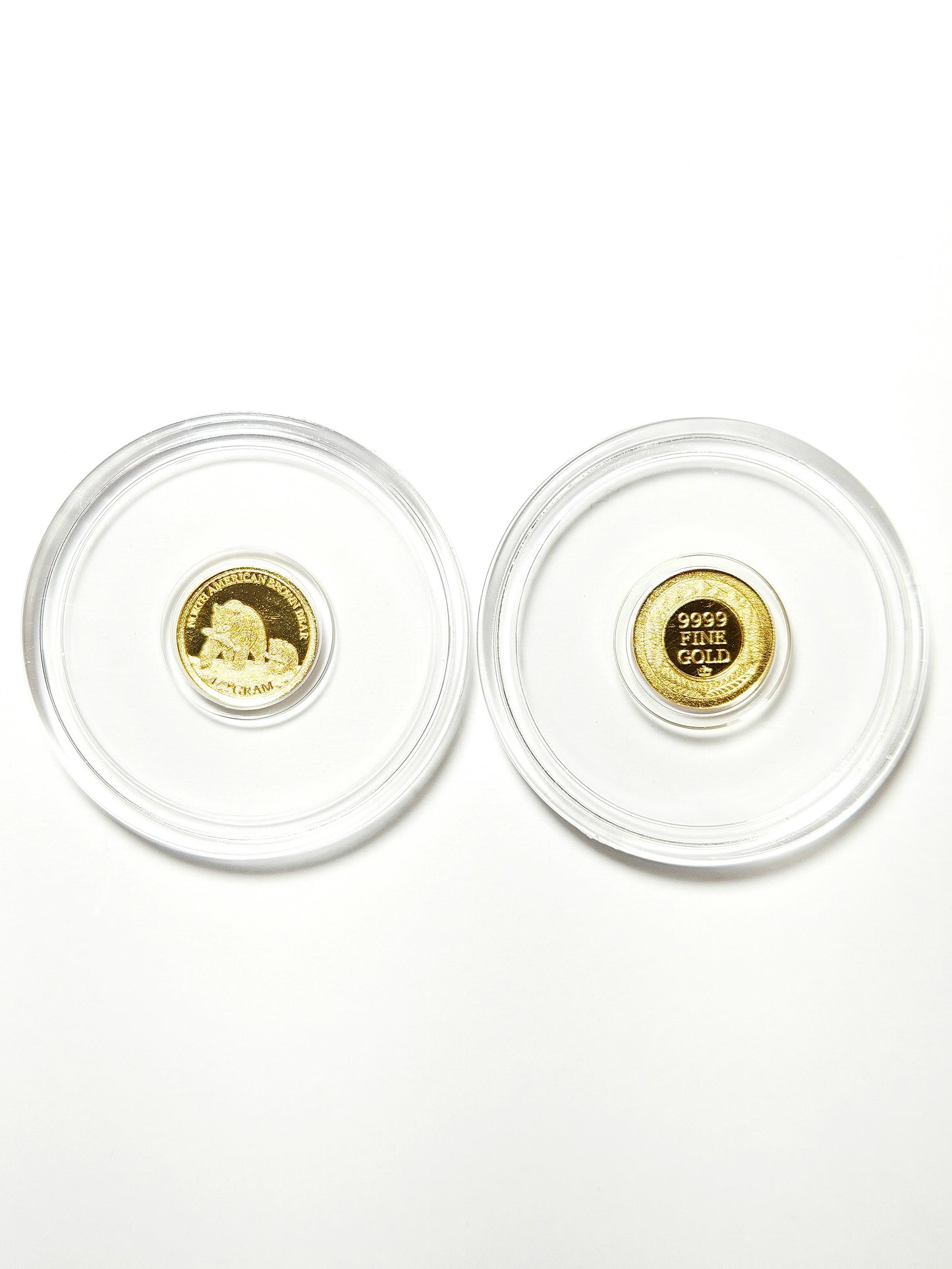 North American Brown Bear 1/2 Gram .9999 Fine Gold Round (Sealed in Capsule)