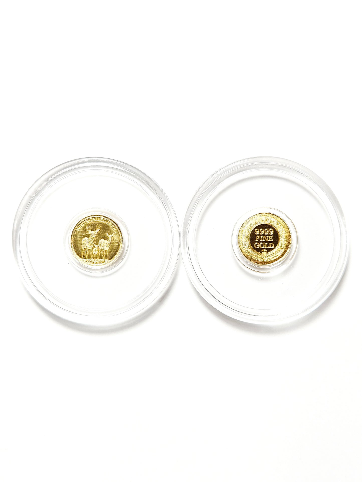 White Tailed Deer 1/4 Gram .9999 Fine Gold Round (Sealed in Capsule)